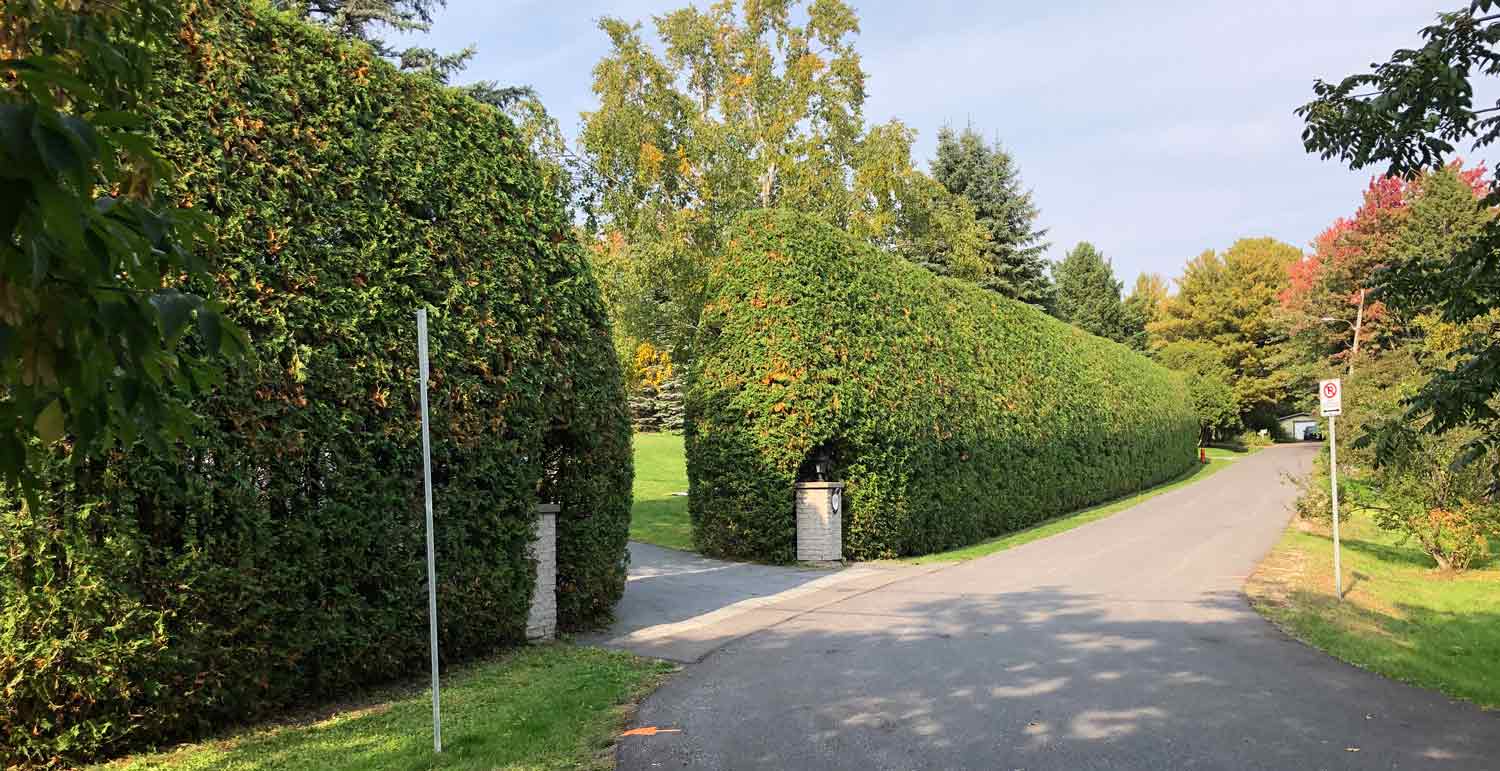 Taille de haie Mont-Saint-Hilaire Les Frères Pelletier